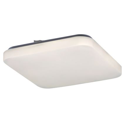 Rabalux 2286 - LED Plafon ROB 1xLED/20W/230V