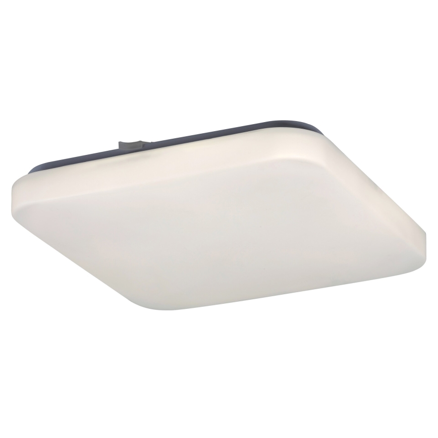 Rabalux 2286 - LED Plafon ROB 1xLED/20W/230V