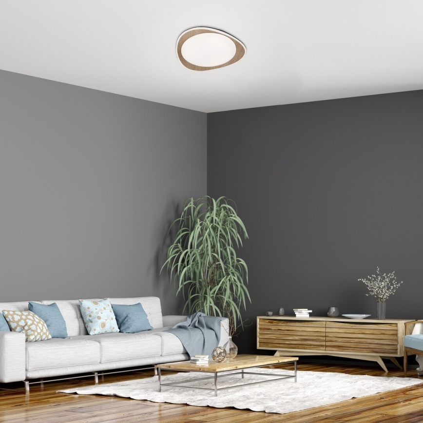 Rabalux - LED Plafon LED/24W/230V