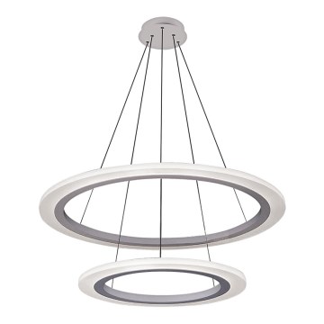 Rabalux 2429 - LED Żyrandol ADRIENNE LED/62W/230V srebrny