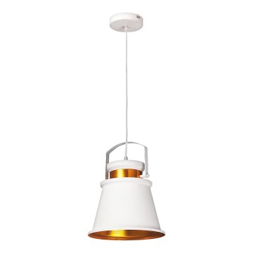 Rabalux 2571 - Lampa wisząca DUSAN E27/40W