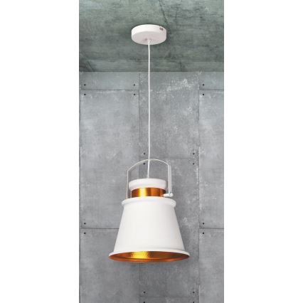 Rabalux 2571 - Lampa wisząca DUSAN E27/40W