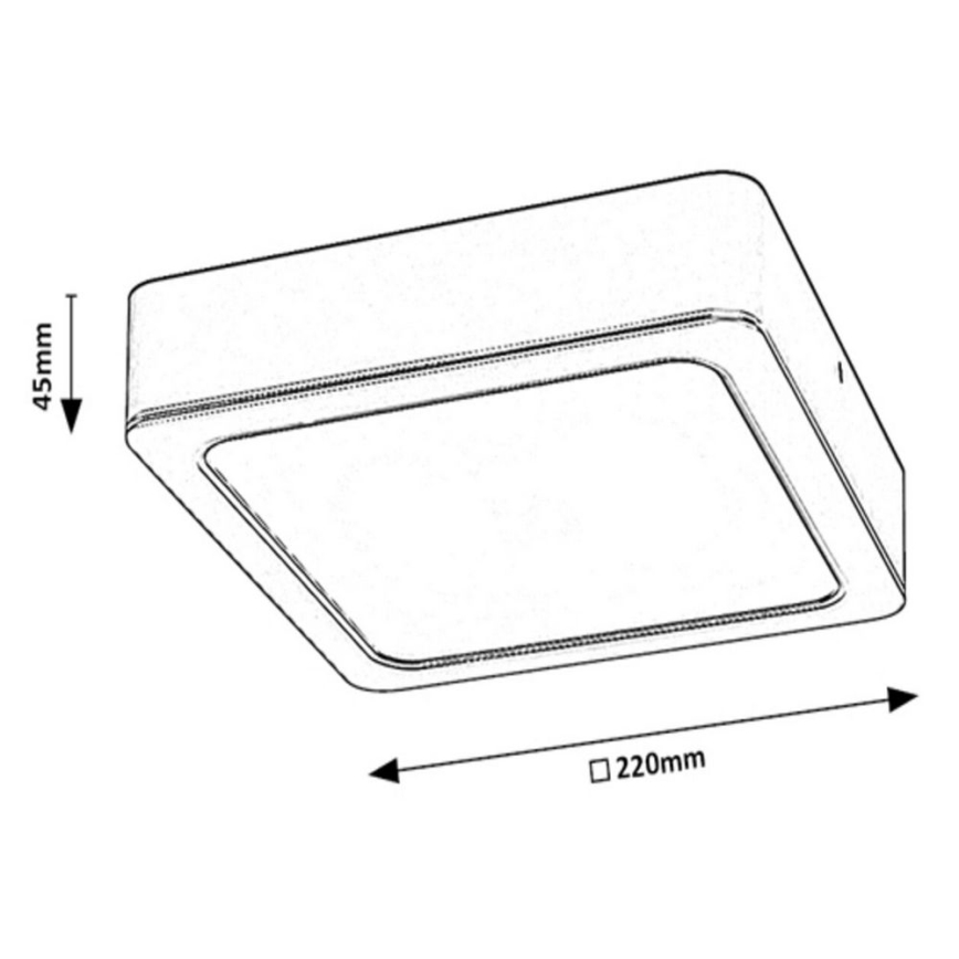 Rabalux - LED Lampa sufitowa LED/24W/230V 22x22 cm