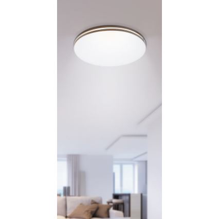 Rabalux - LED Plafon 1xLED/18W/230V