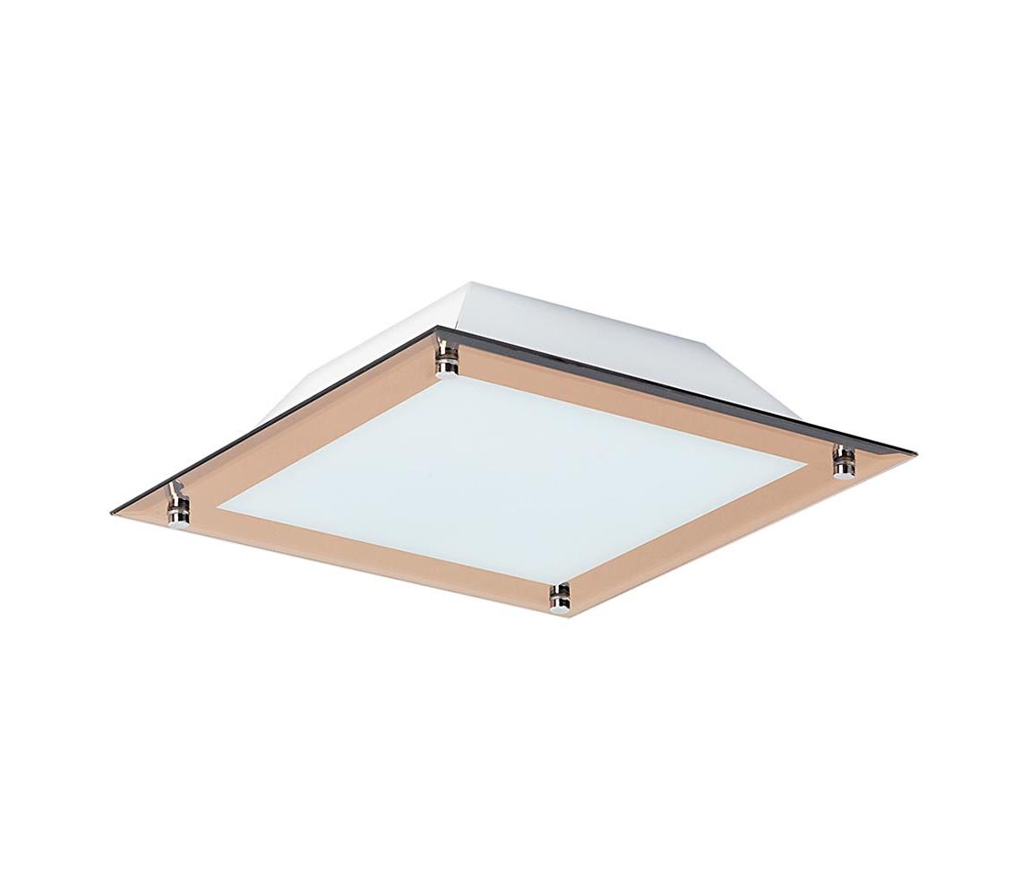 Rabalux 3045 - Oprawa sufitowa LED LARS 1xLED/12W/230V