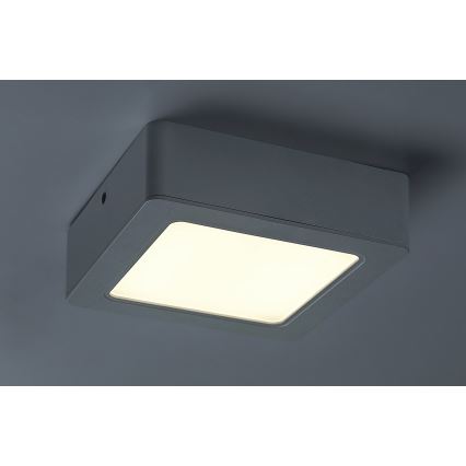 Rabalux - LED Plafon LED/12W/230V 14,5 cm