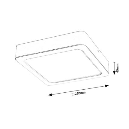 Rabalux - LED Plafon LED/24W/230V 22x22 cm