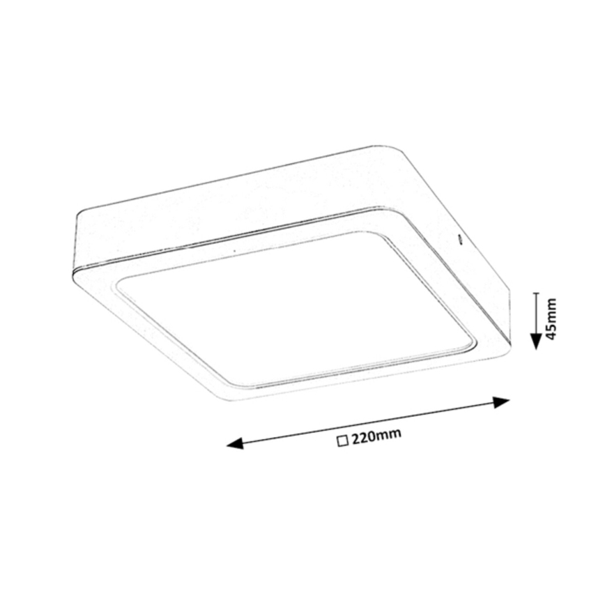 Rabalux - LED Plafon LED/24W/230V 22x22 cm