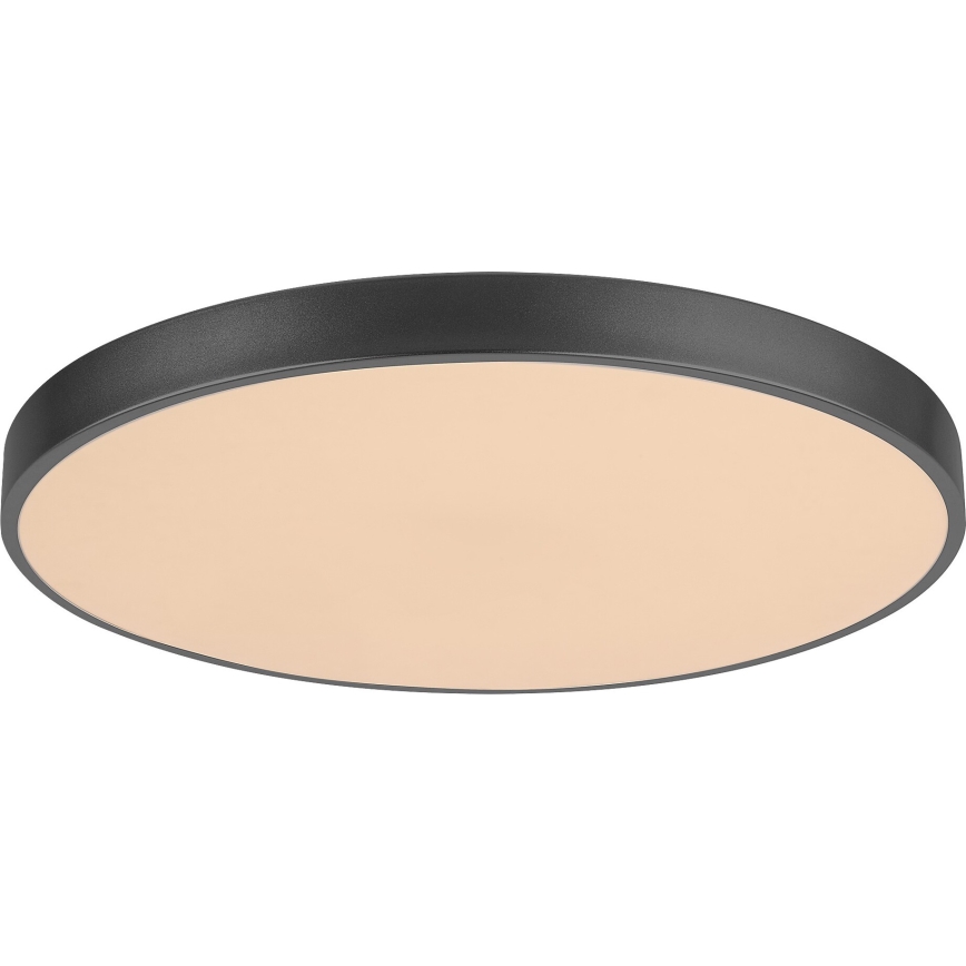 Rabalux - LED Plafon ściemnialny LED/60W/230V 60 cm + pilot zdalnego sterowania