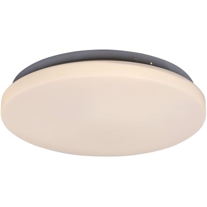 Rabalux - LED Plafon LED/20W/230V