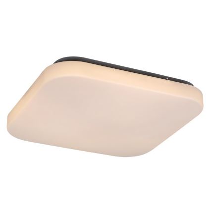 LED Plafon ROB LED/20W/230V