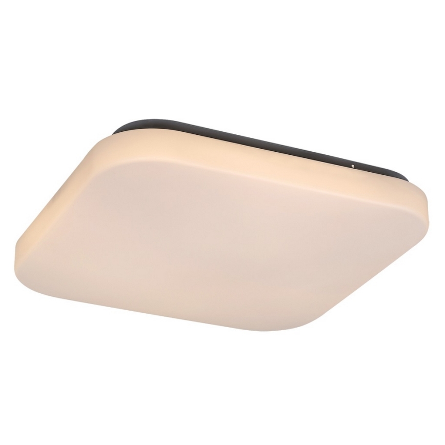LED Plafon ROB LED/20W/230V
