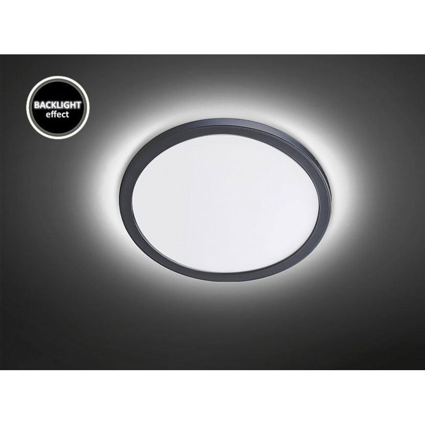 Rabalux - LED Plafon łazienkowy LED/15W/230V IP44