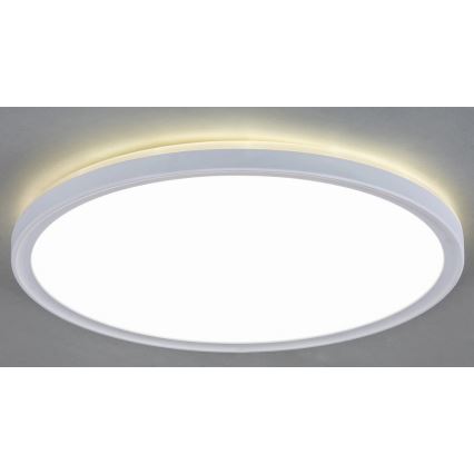 LED Plafon LED/18W/230V