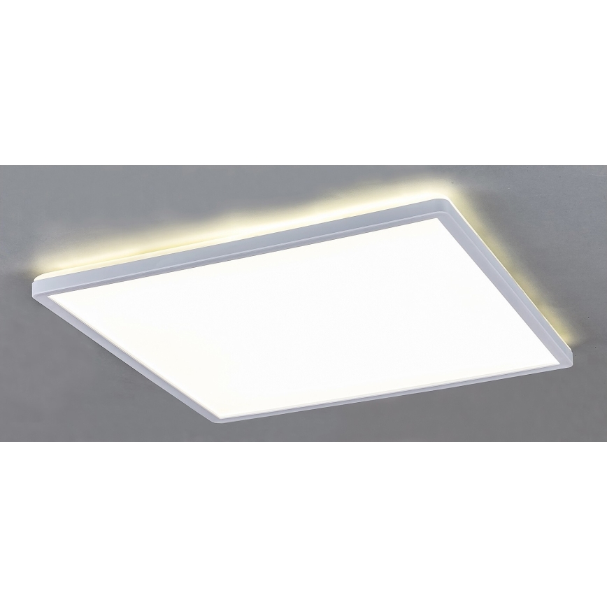 LED  Plafon ściemnialny LED/22W/230V
