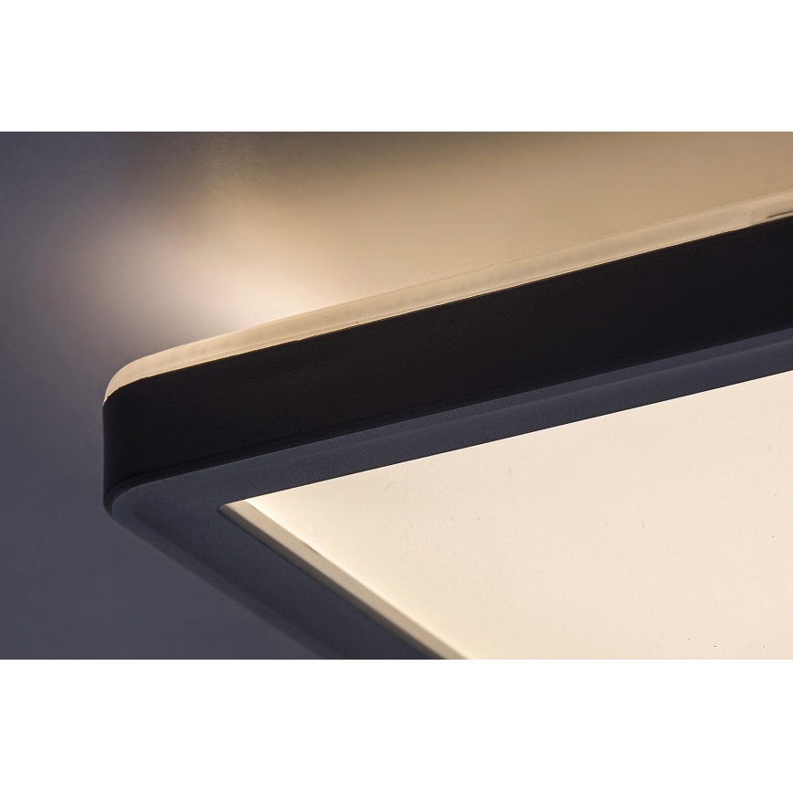 LED  Plafon ściemnialny LED/22W/230V