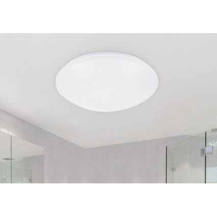 Rabalux - LED Plafon 1xLED/24W/230V