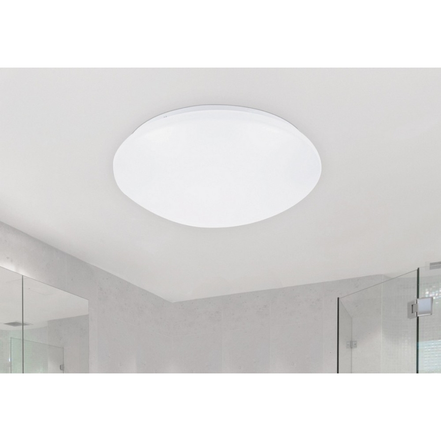 Rabalux - LED Plafon 1xLED/24W/230V