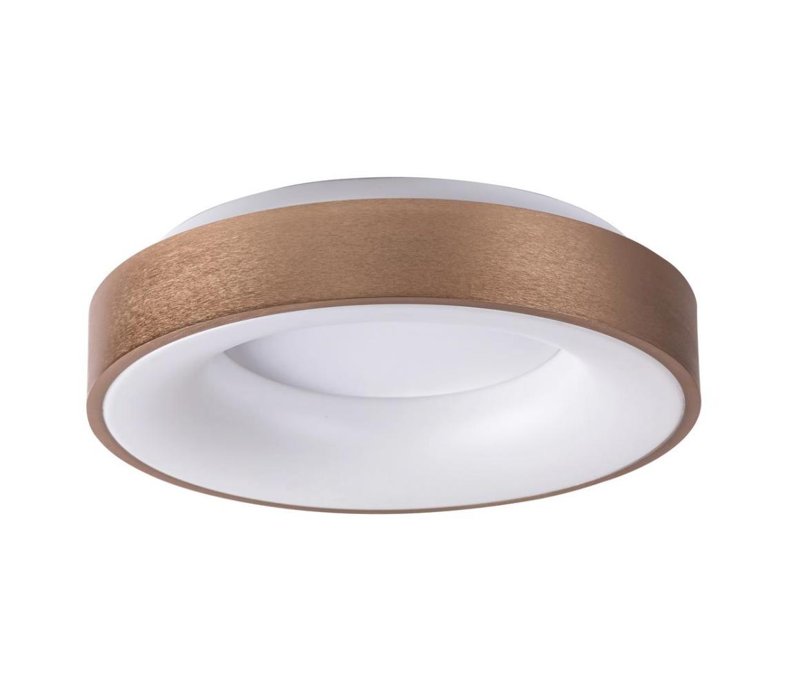 Rabalux 5052 - LED Plafon CARMELA LED/30W/230V