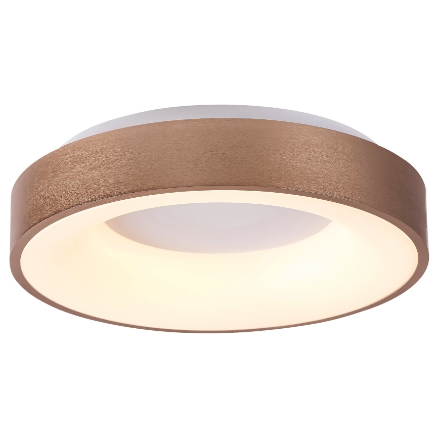 Rabalux 5052 - LED Plafon CARMELA LED/30W/230V