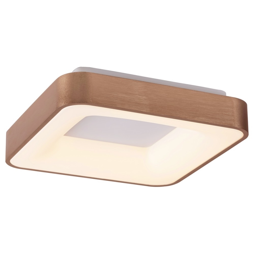 Rabalux - LED Plafon CARMELA LED/30W/230V 40x40 cm