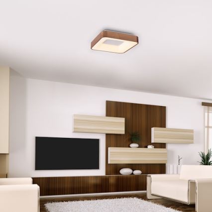 Rabalux - LED Plafon CARMELA LED/30W/230V 40x40 cm