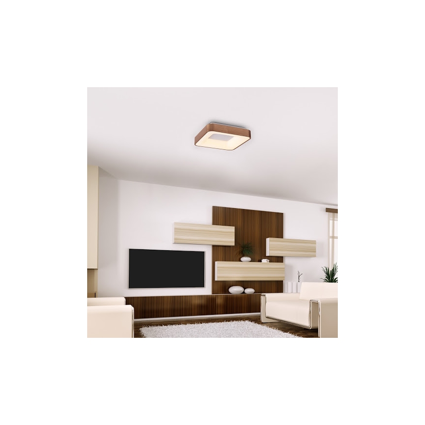 Rabalux - LED Plafon CARMELA LED/30W/230V 40x40 cm