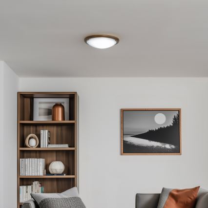Rabalux 5417 - Plafon UFO E27/60W/230V
