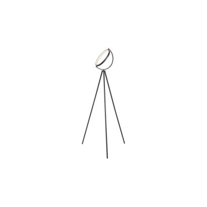 Rabalux - LED Lampa podłogowa LED/12W/230V