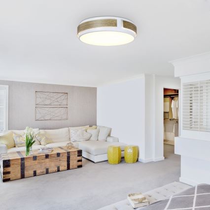 Rabalux - LED Ściemnialna lampa sufitowa LED/24W/230V Ø 42 cm