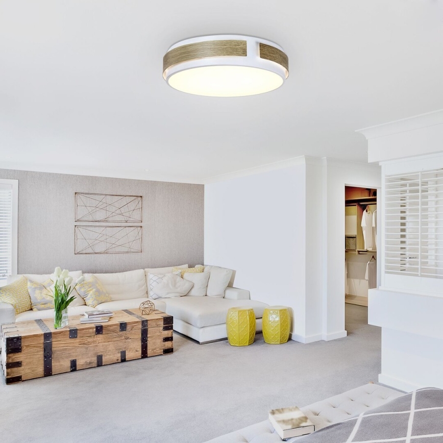 Rabalux - LED Ściemnialna lampa sufitowa LED/24W/230V Ø 42 cm