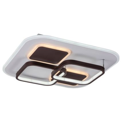 Rabalux 6250 - LED Plafon ściemnialny DELION LED/50W/230V