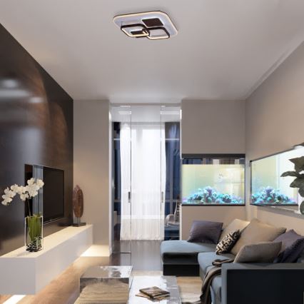 Rabalux 6250 - LED Plafon ściemnialny DELION LED/50W/230V