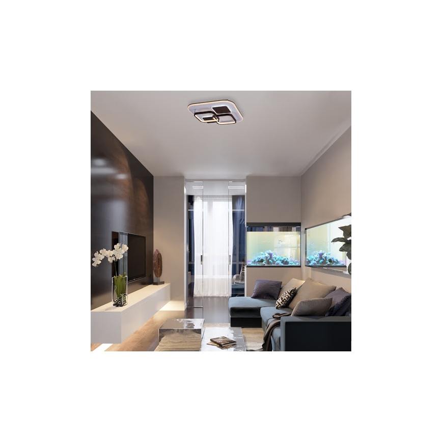 Rabalux 6250 - LED Plafon ściemnialny DELION LED/50W/230V