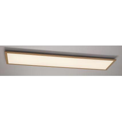 Rabalux - LED Panel natynkowy LED/40W/230V 4000K