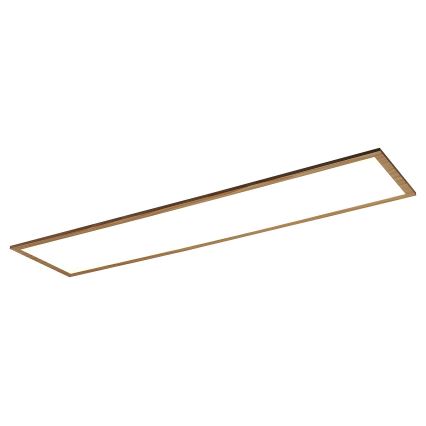 Rabalux - LED Panel natynkowy LED/40W/230V 4000K