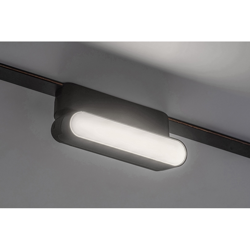 Rabalux - LED Plafon do 1-fazowego systemu szynowego LED/6W/230V 4000K 11,5 cm czarny