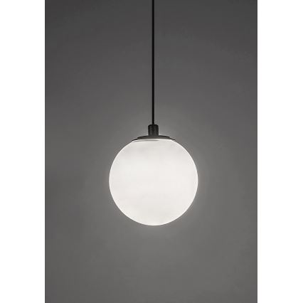 Rabalux - LED Żyrandol na lince do 1-fazowego systemu szynowego LED/5W/230V 4000K czarny