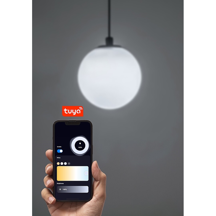 Rabalux - LED Żyrandol ściemnialny na lince do 1-fazowego systemu szynowego LED/5W/24V 2700-5500K Wi-Fi Tuya czarny