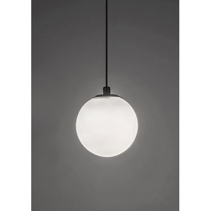 Rabalux - LED Żyrandol ściemnialny na lince do 1-fazowego systemu szynowego LED/5W/24V 2700-5500K Wi-Fi Tuya czarny