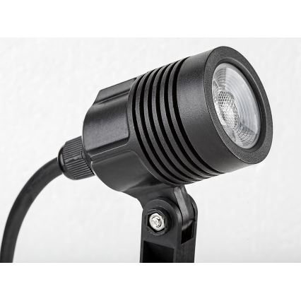 Rabalux - LED Lampa zewnętrzna LED/3W/230V IP65