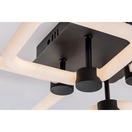 Rabalux - ściemnialna lampa sufitowa LED/47W/230V 3000/4000/6000K z pilotem 46x54 cm