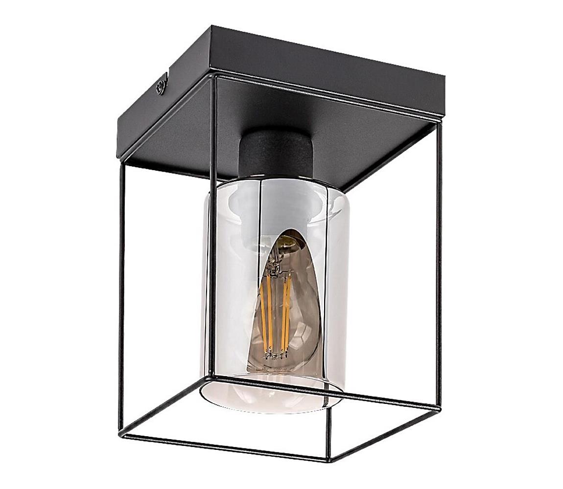 Rabalux 71031 - Lampa sufitowa CHADWICK 1xE27/25W/230V