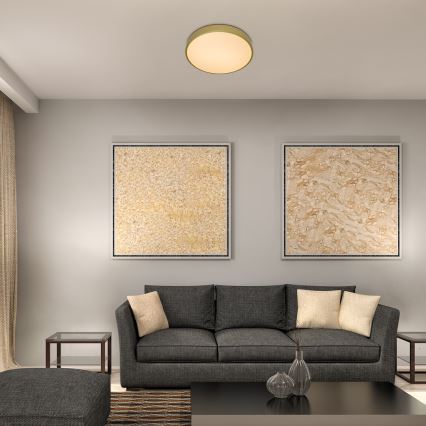 Rabalux - lampa sufitowa LED/36W/230V 3000K śr. 40 cm