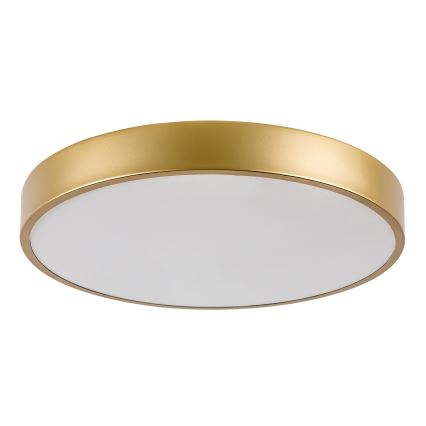 Rabalux - lampa sufitowa LED/36W/230V 3000K śr. 40 cm