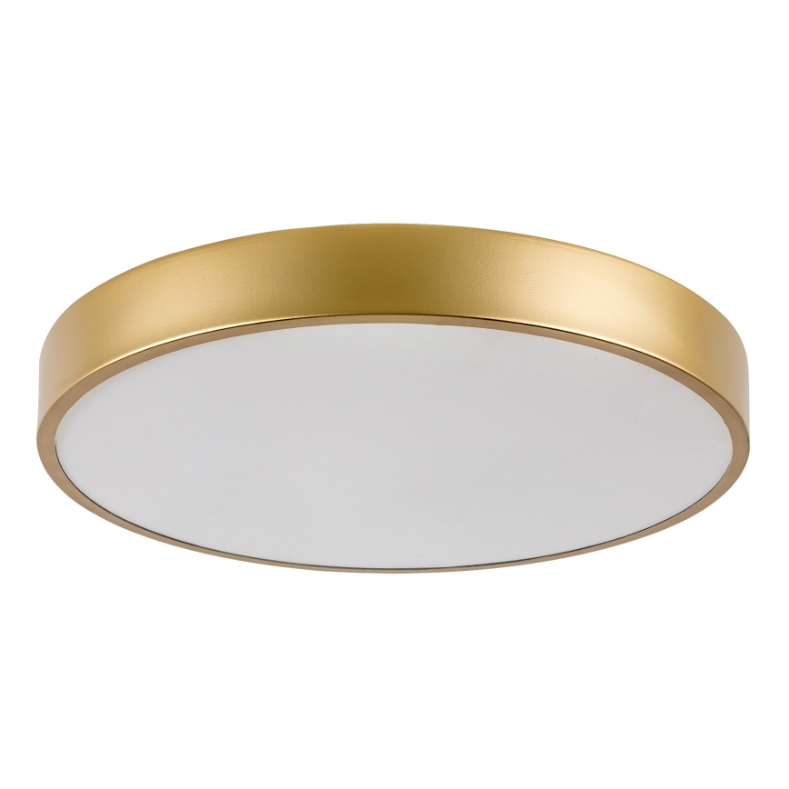 Rabalux - LED Plafon LED/36W/230V 3000K