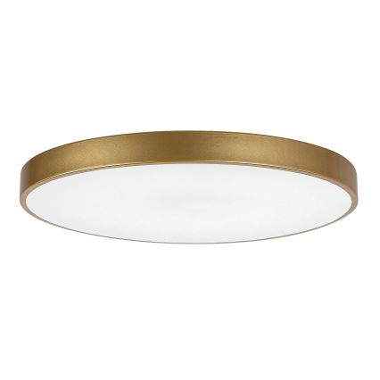 Rabalux - LED Plafon ściemnialny LED/60W/230V 3000-6000K + Pilot zdalnego sterowania