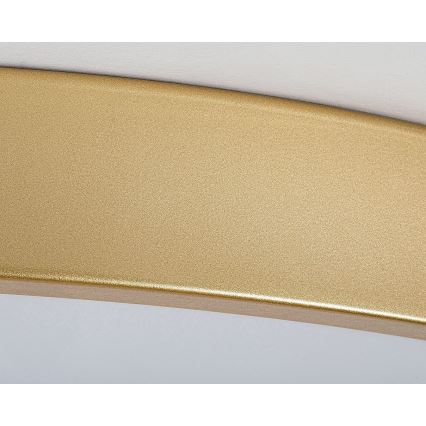 Rabalux - LED Plafon ściemnialny LED/60W/230V 3000-6000K + Pilot zdalnego sterowania