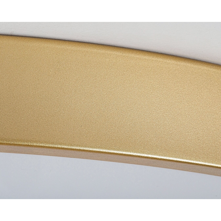 Rabalux - LED Plafon ściemnialny LED/60W/230V 3000-6000K + Pilot zdalnego sterowania