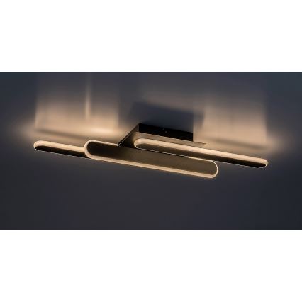 Rabalux - LED Plafon LED/18W/230V 3000/4000K